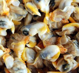 pasta-berberechos-canapes