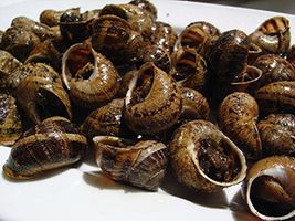 Receta de cocina caracoles